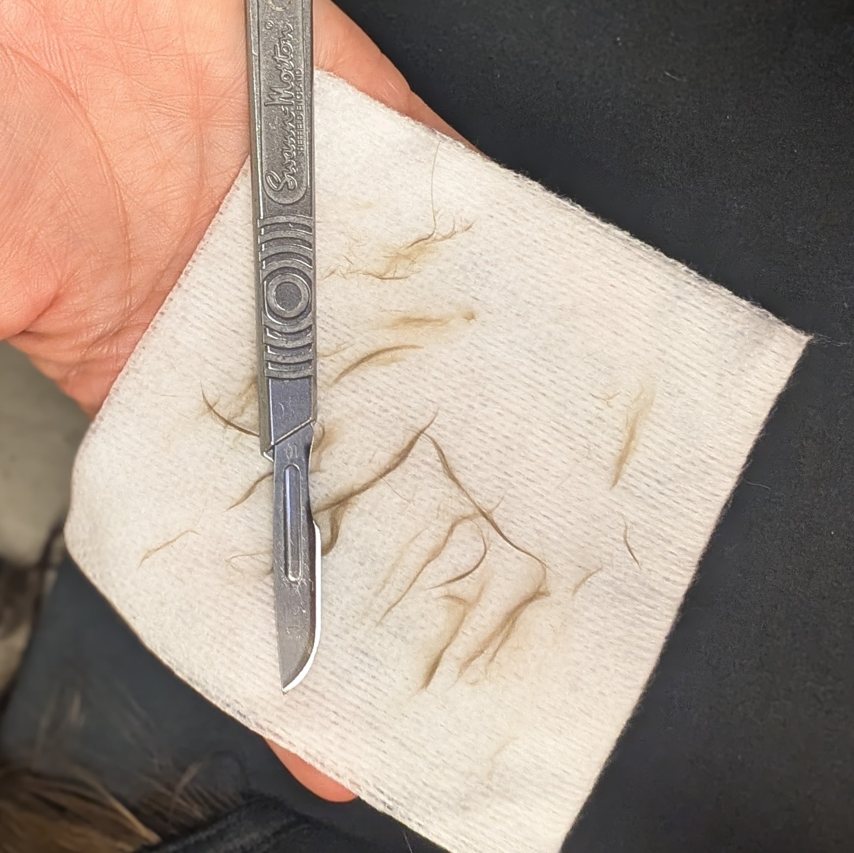 Dermaplane