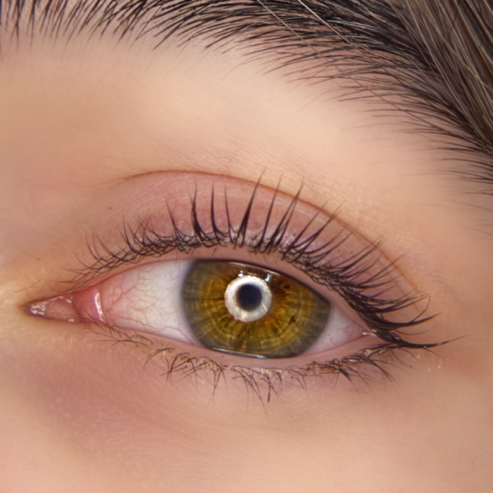 Lash Lift And Tint at The Fifth Element LLC in Windber, PA
