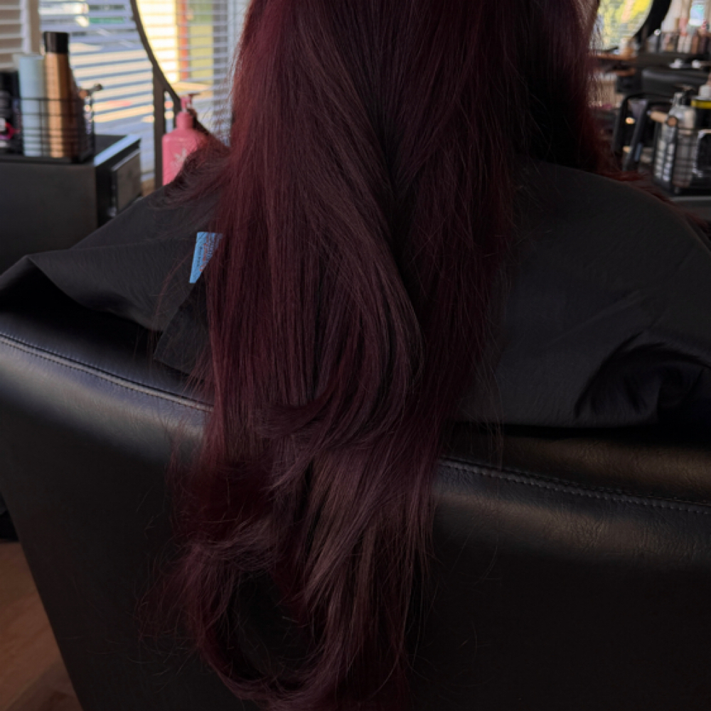 All over color + Haircut at By_RosaGuillen in Brea, CA