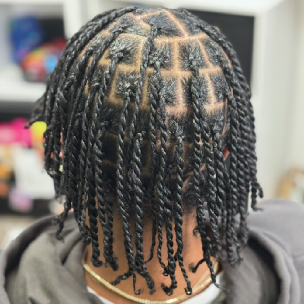 2 Strand Twist at The Luxe Braid Co. in Capitol Heights, MD