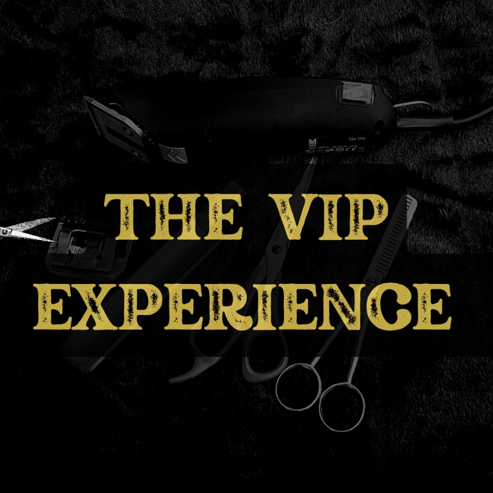 The VIP Experience