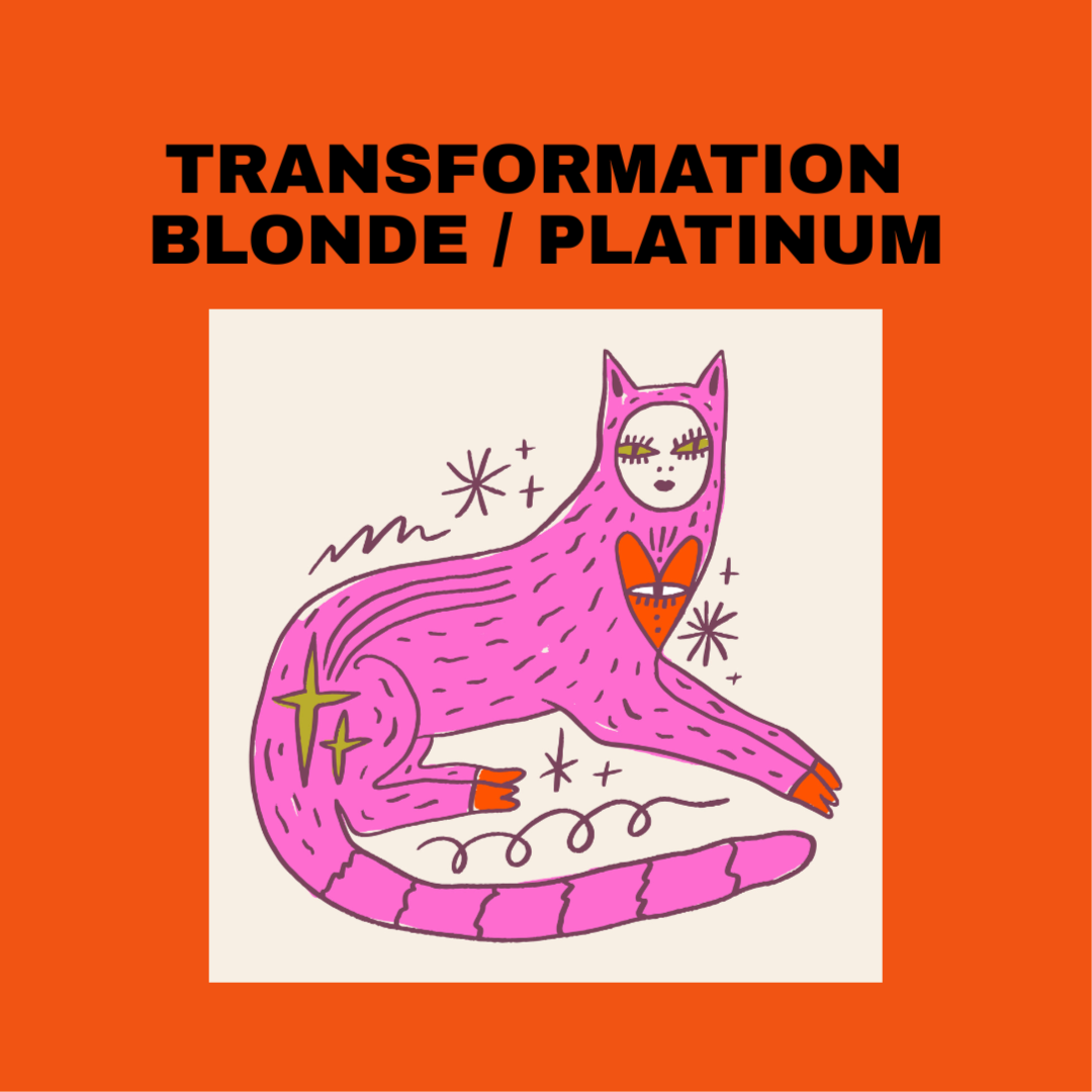 Transformation Blonde / Platinum at ACE Collective Salon+Wellness in Pittsburgh, PA