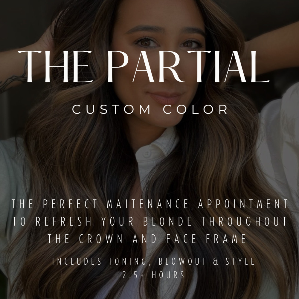 Balayage Retouch/Partial Foil