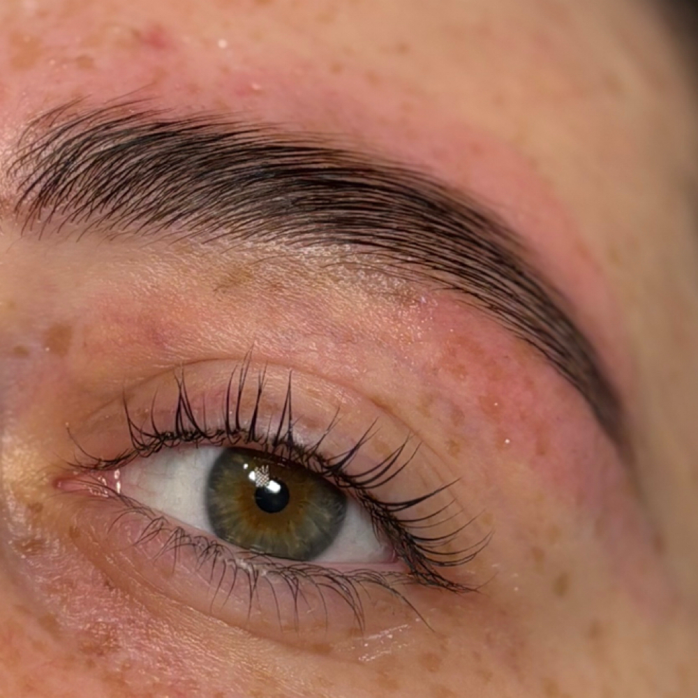 Brow Lamination & Tint at Livingood Esthetics in Richmond, KY