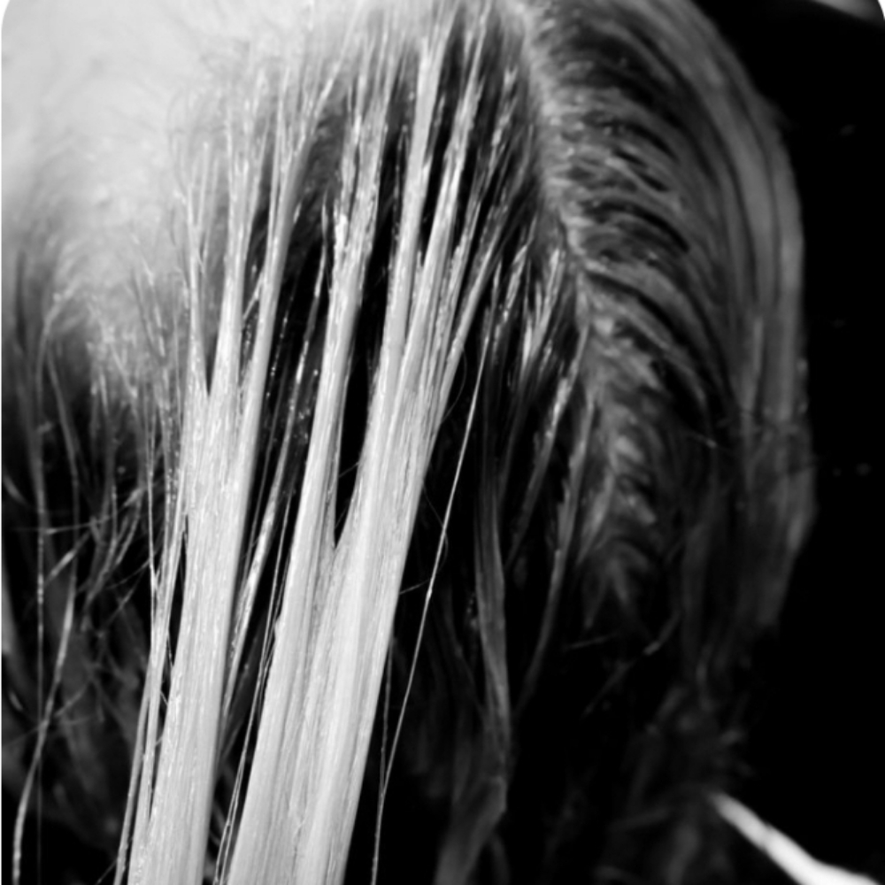 Gloss & Toner at ELOURA HAIR STUDIO in Escondido, CA