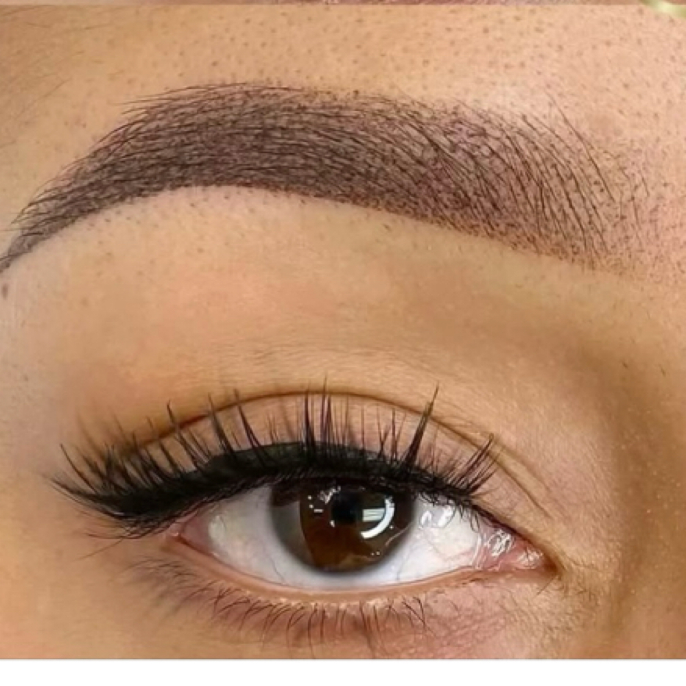 Touch-up 6 Months Promotion at Microstroke Brows by Alice in Rowlett, TX