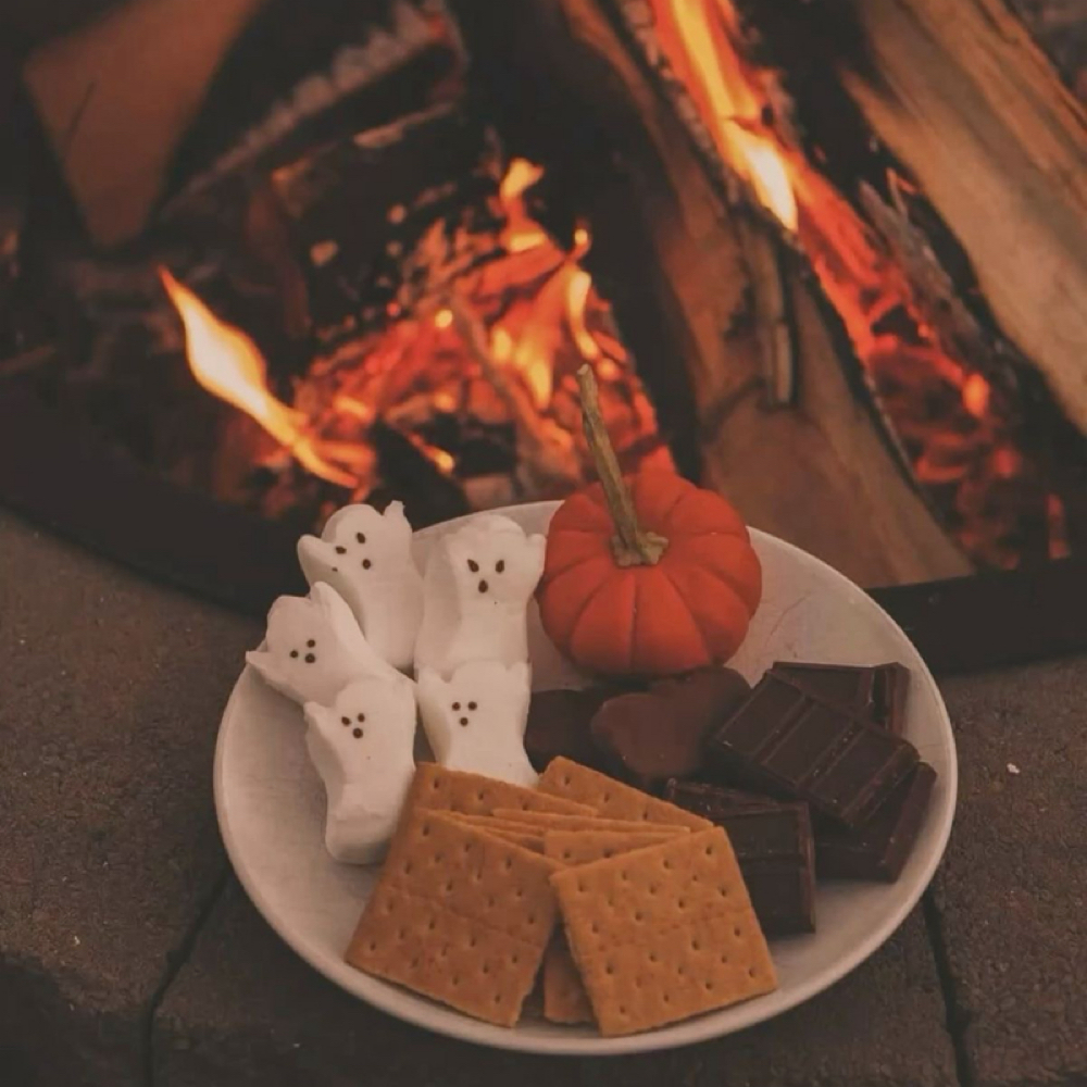 Pumpkin S’mores Facial at Happy Skin Co. in Macomb, MI