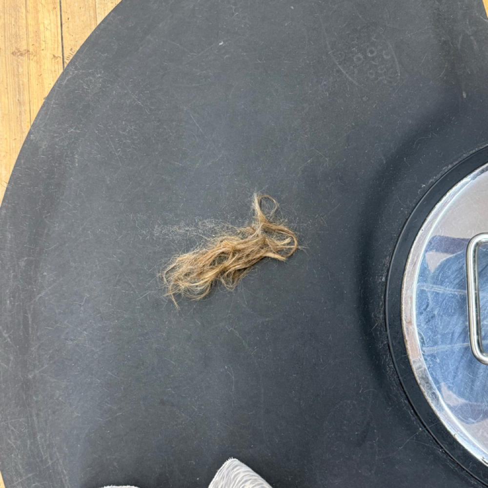Womens Haircut at Brylee Miller in Massillon, OH