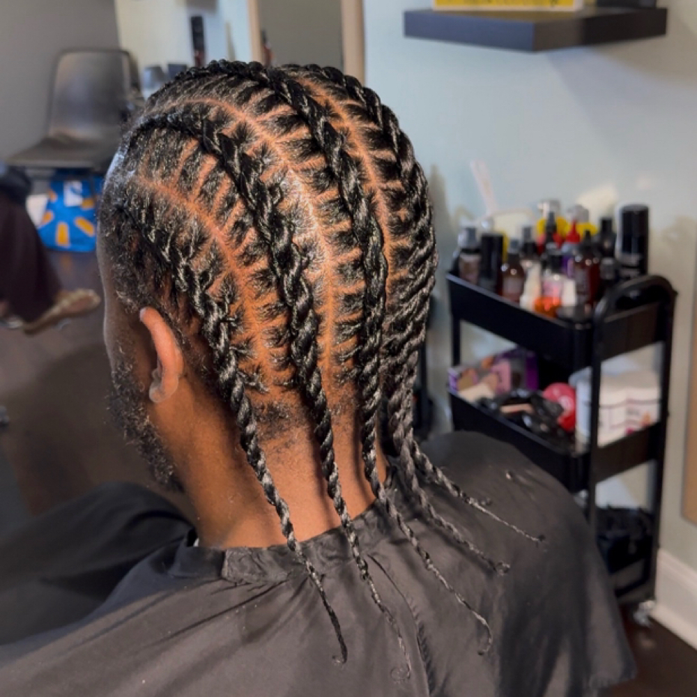 Barrel Twist Braidsv at Beauty Bee’s in Reading, PA