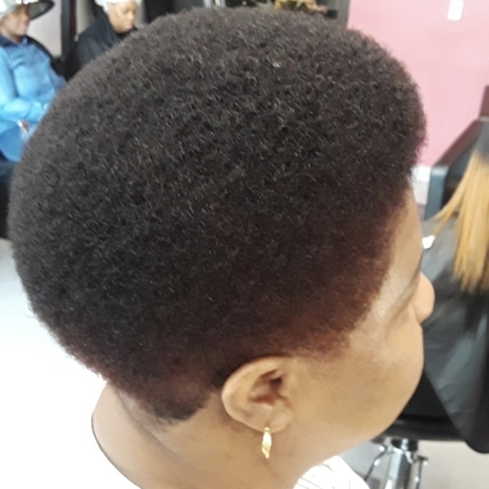 Cut Only at Style Headquarters LLC in Chicago, IL