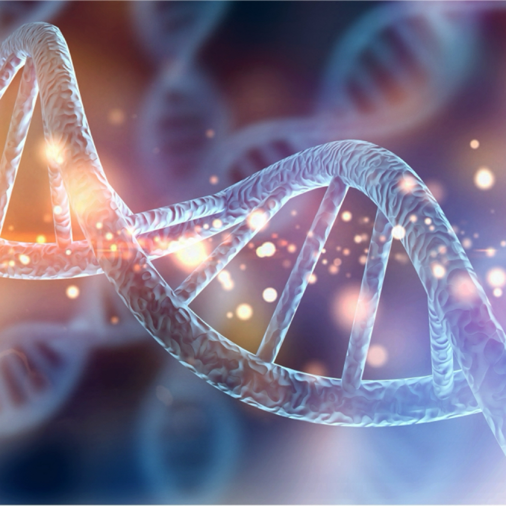 Genetic Longevity Blueprint at ENZI JONES | A Deeper Beauty in Portland, OR