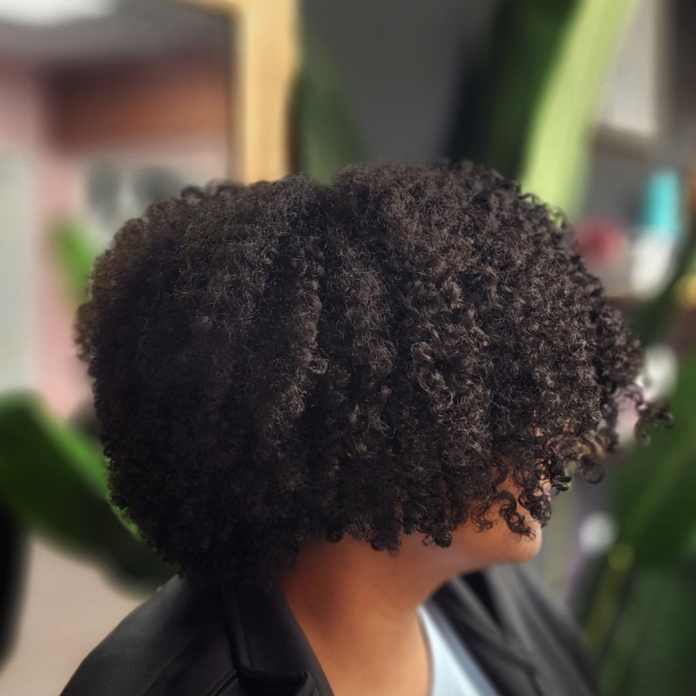 The Curl Experience at PaintedCurly in Salem, OR