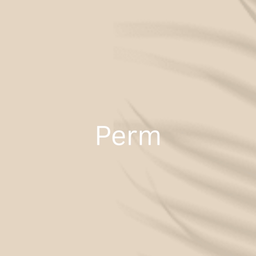 Perm at Elevate Salon & Hair Loss Studio in Maple Grove, MN