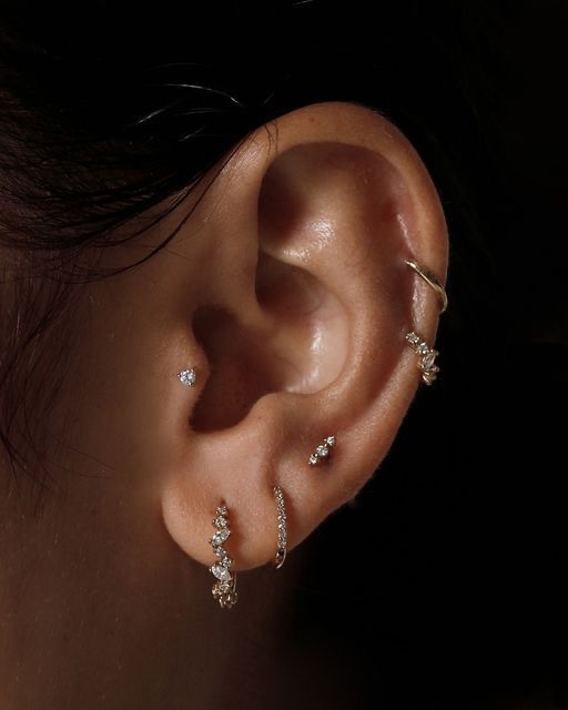 Multiple Piercings