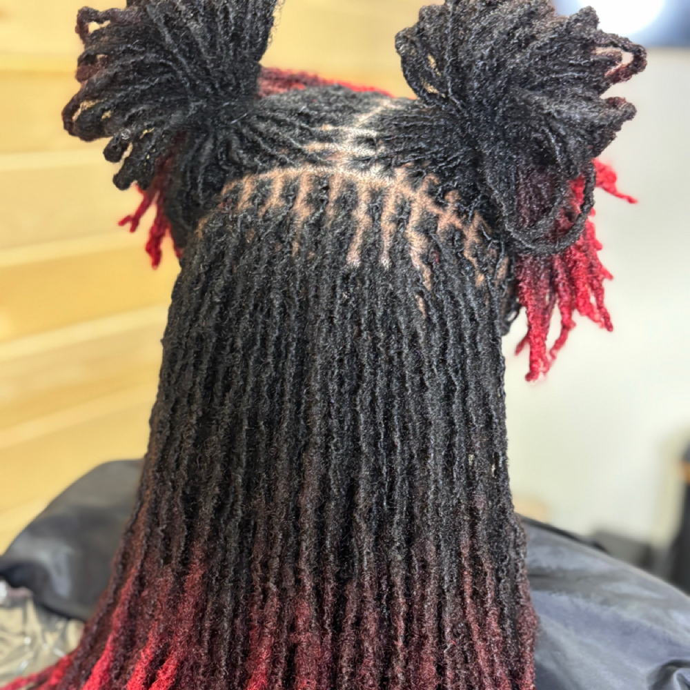 Transfer Micro Loc Package 4-6 Week at Loc Bar DTX in Duncanville, TX