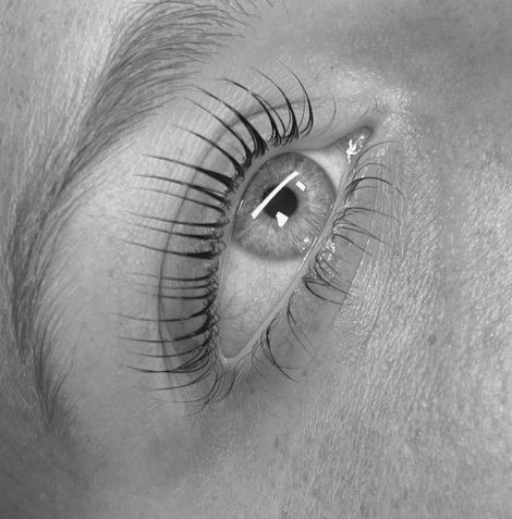 Lash Lift