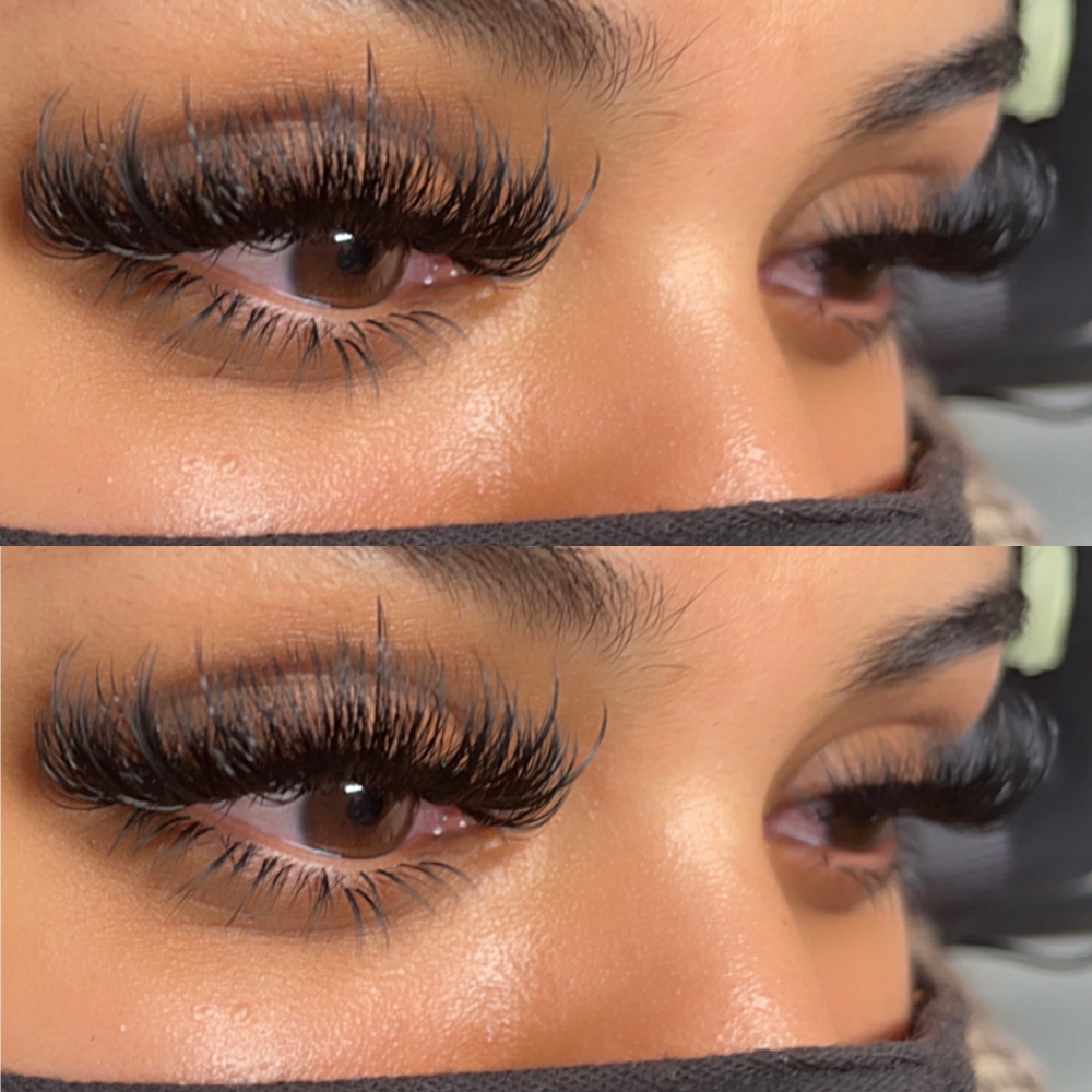 Bottom Lashes