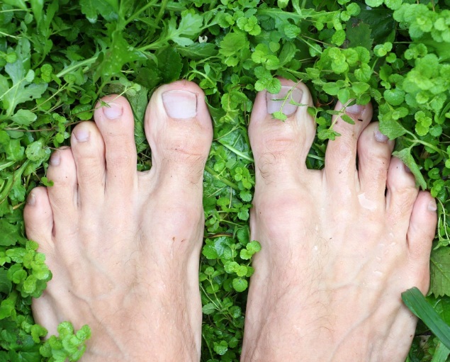 Foot Zone 65+ years young