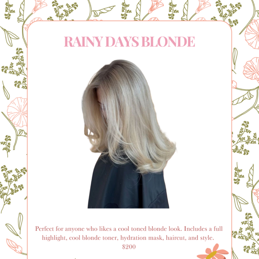 Rainy Days Blonde at Graceful Salon in North Olmsted, OH