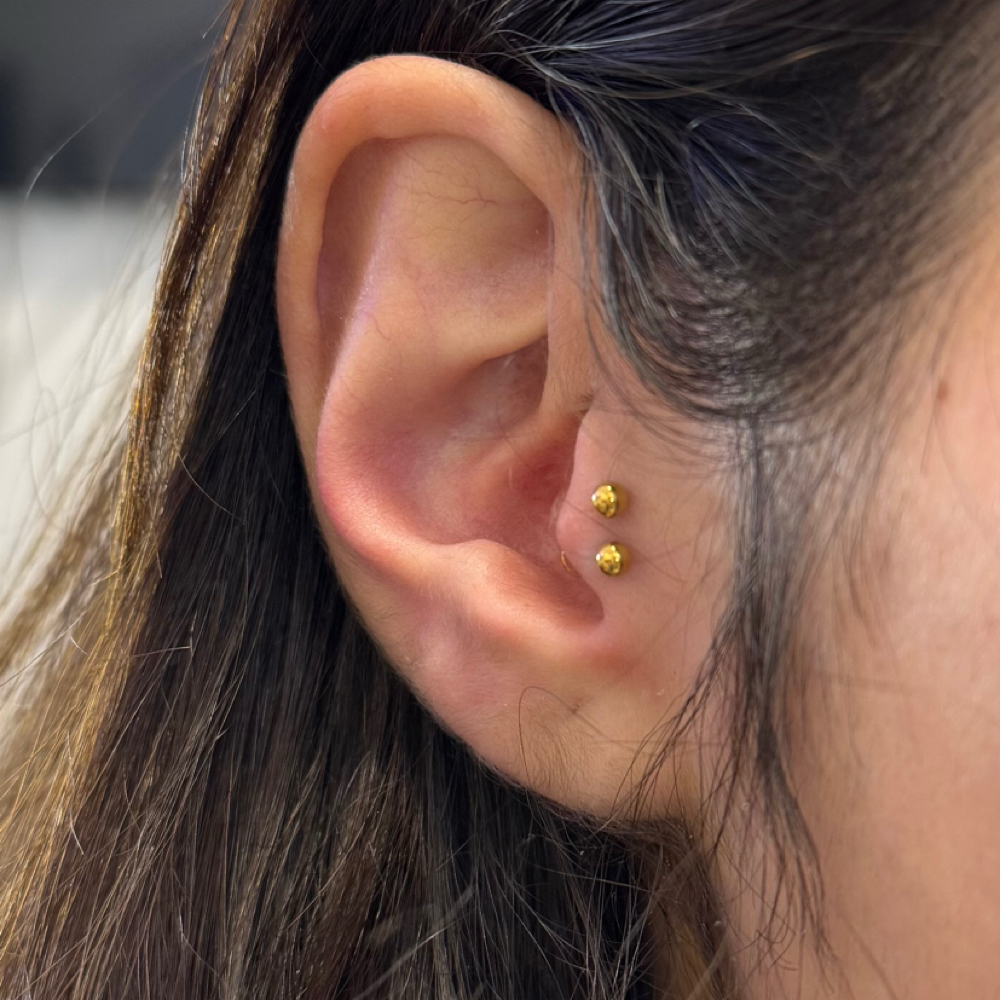 Double Tragus at PiercingSiren in Waukegan, IL