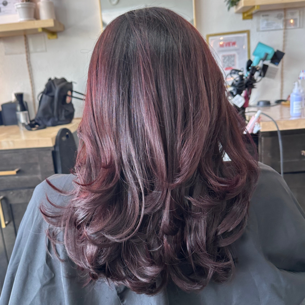 Womens Shampoo Blowdry & Style at Family Hair Lounge - Orange in Orange, CA