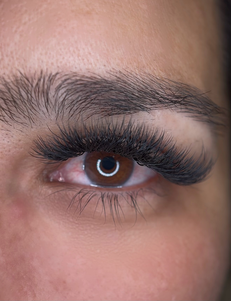 Volume Eyelashes (3D or 4D)