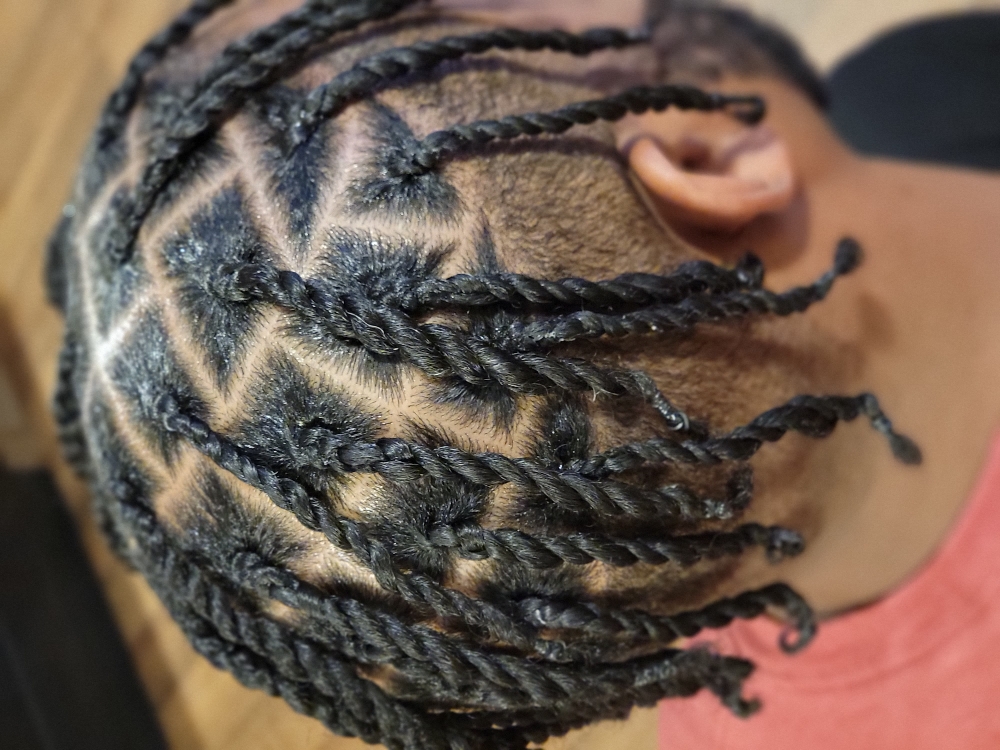 Half Head 2 Strand Twists