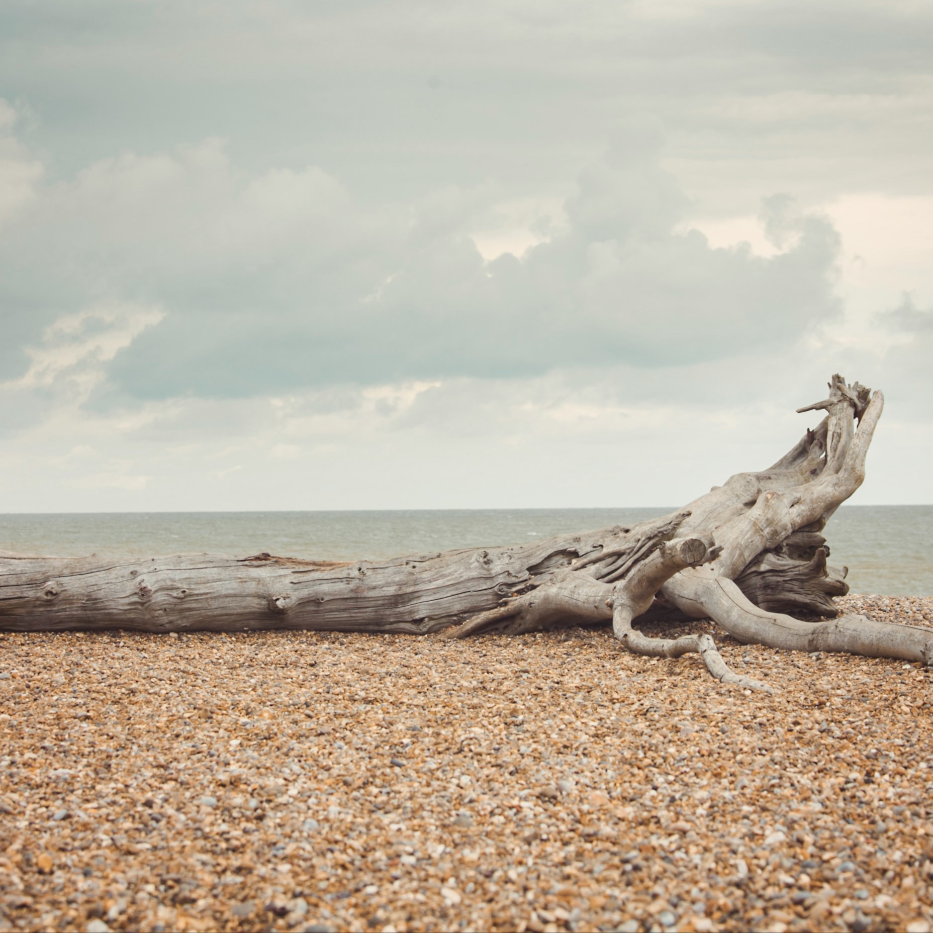 Coastal Restore Facial at Blue Wellness Studio, LLC in Pacific City, OR