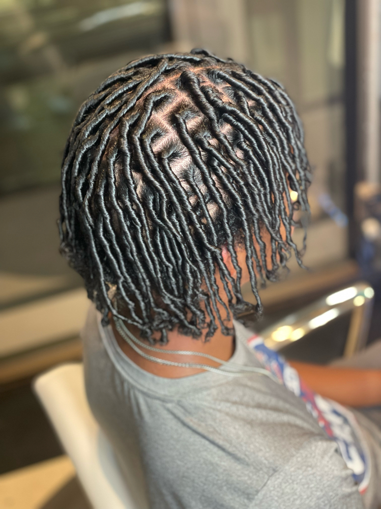 Starter Locs