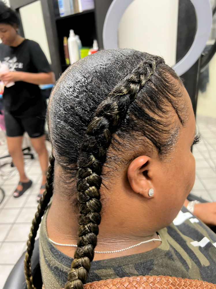 2 Braids / Halo Braid