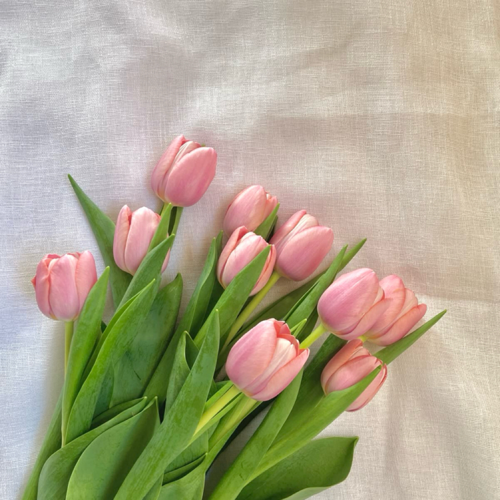 Spring Special Dermaplane at Face Integrity in Fort Worth, TX