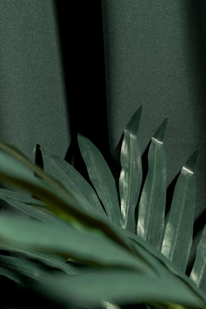 Bang Trim at Creations By Kaylee in Johnson City, TN