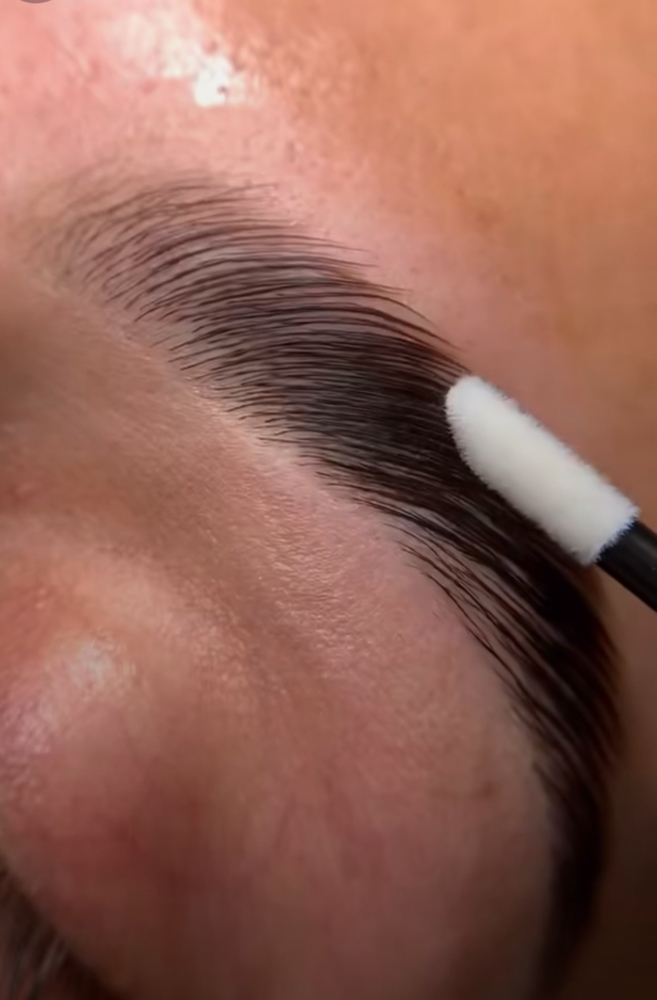Brow Wax & Tint at HOUSE OF BEAUTY UTAH in Saint George, UT