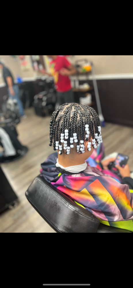 Box braid singles (natural hair) full head