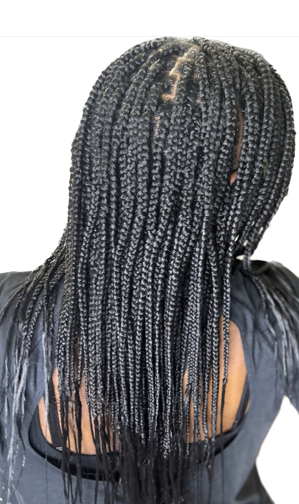 Knotless Box Braids(Smedium)