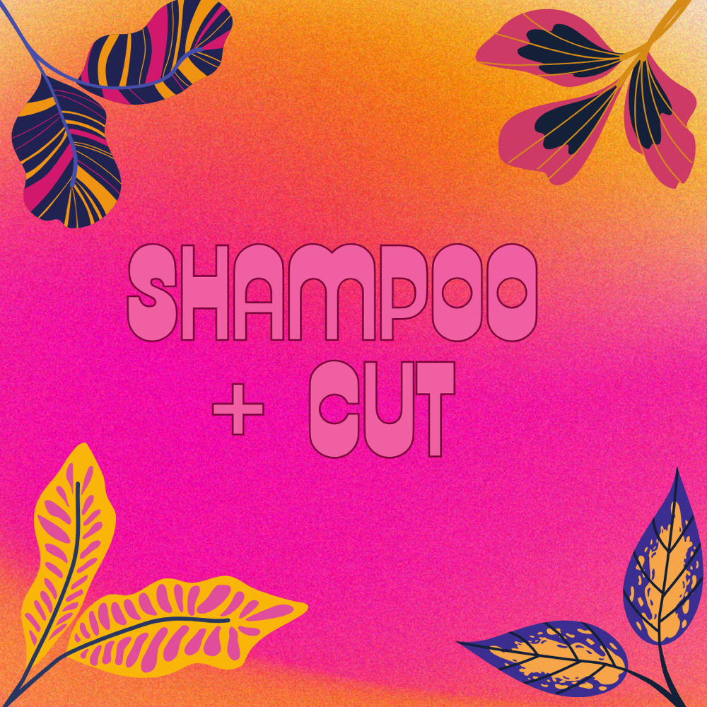 Shampoo + Cut