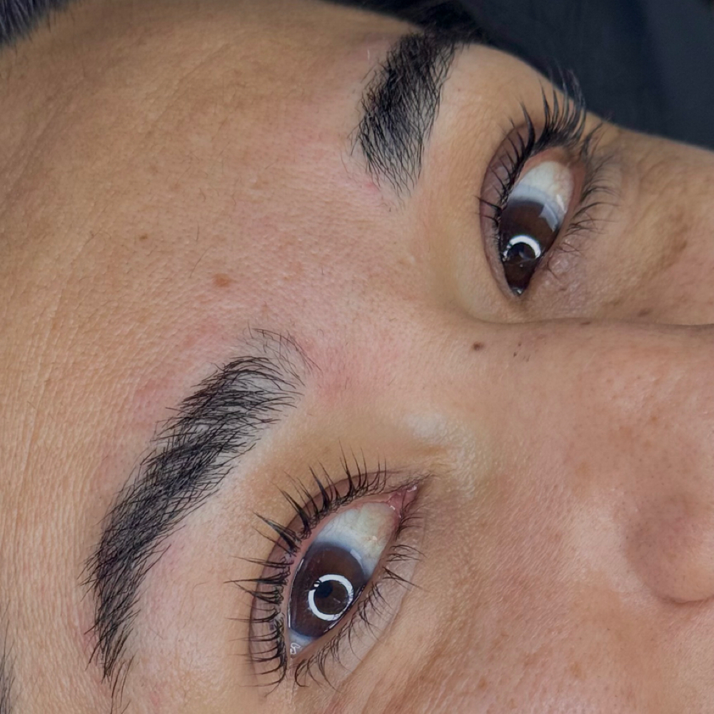 Korean Lash Lift & Tint at Havoc Beauty & Brows in Andrews, TX