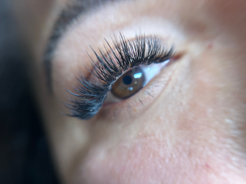 Wispy 2 Weeks Refill
