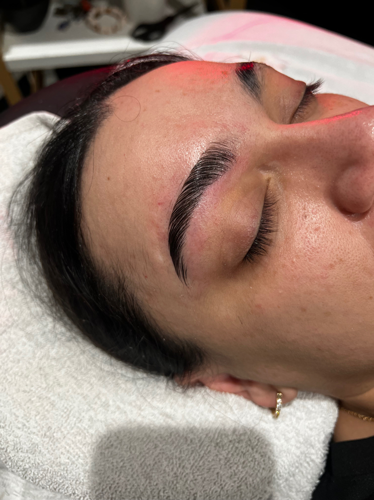 Eyebrow Lamination