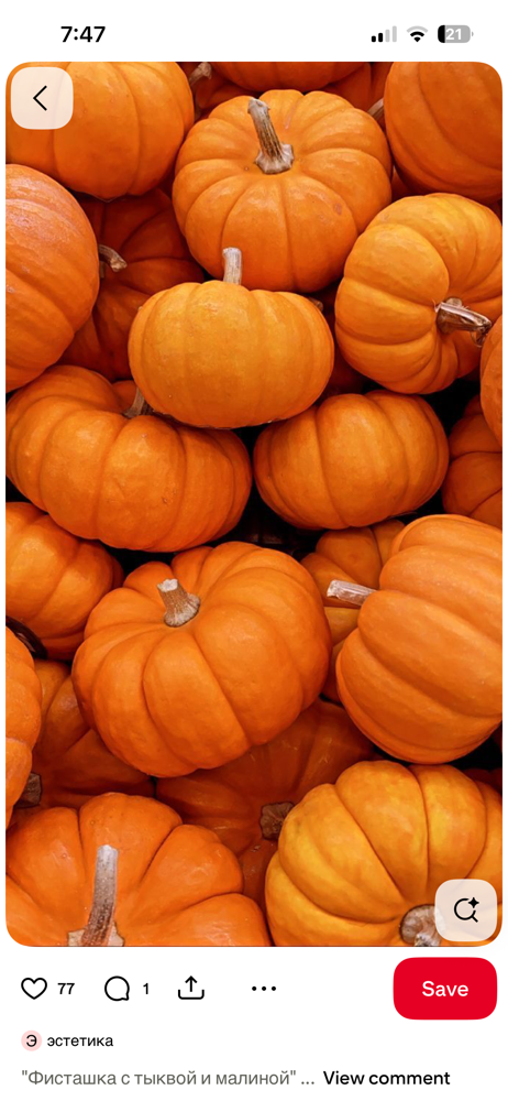 Pumpkin Glow Bundle