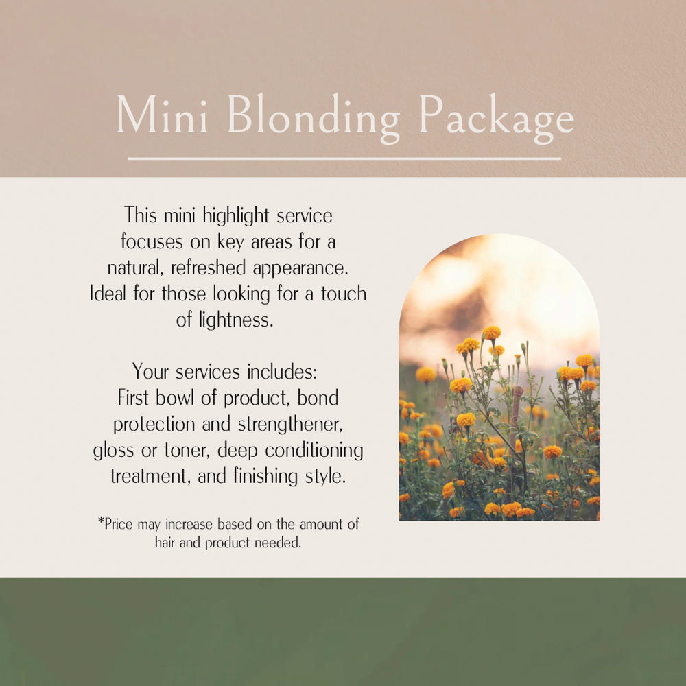 Mini Blonding Package at Northern Roots Hair in Concord, NH
