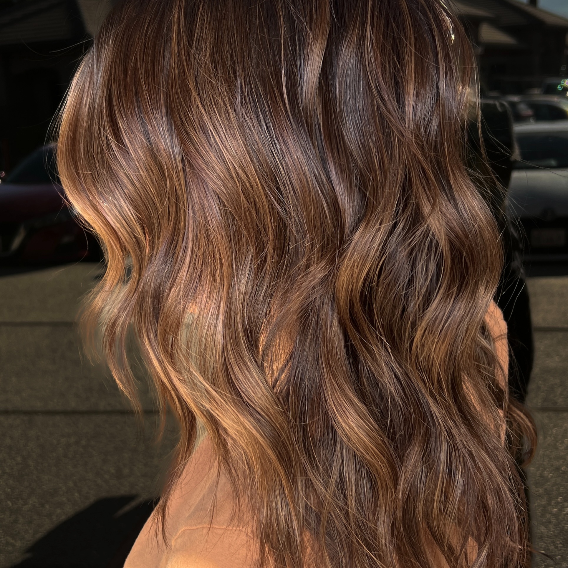 Full Custom Lowlight at Hair By Sydney Elise in Yuba City, CA