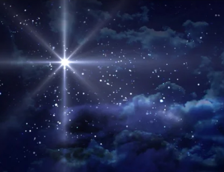 Extra Time Men's Cut And Style