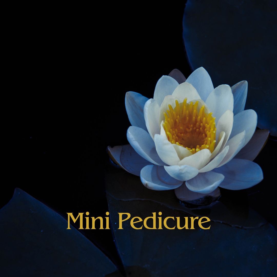 Mini Pedicure at Blue Lotus Beauty Spa in Sheboygan, WI