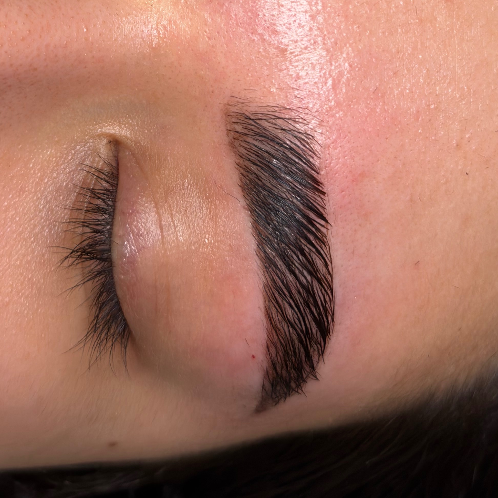 BROW TINT at Hair Byy Gianna in Peoria, AZ