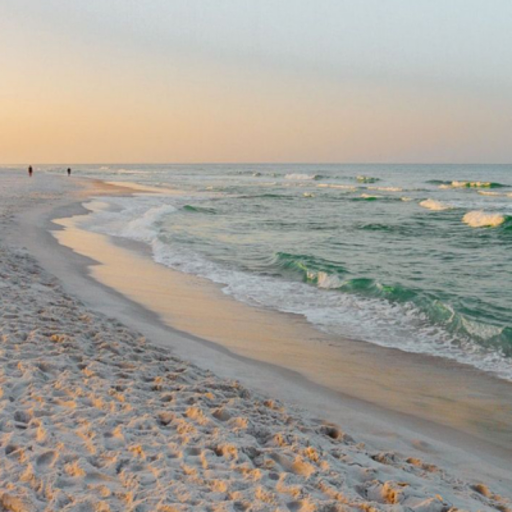 *New Client* Custom Lived-in Color at Cedar & Coast Salon in Madison, WI