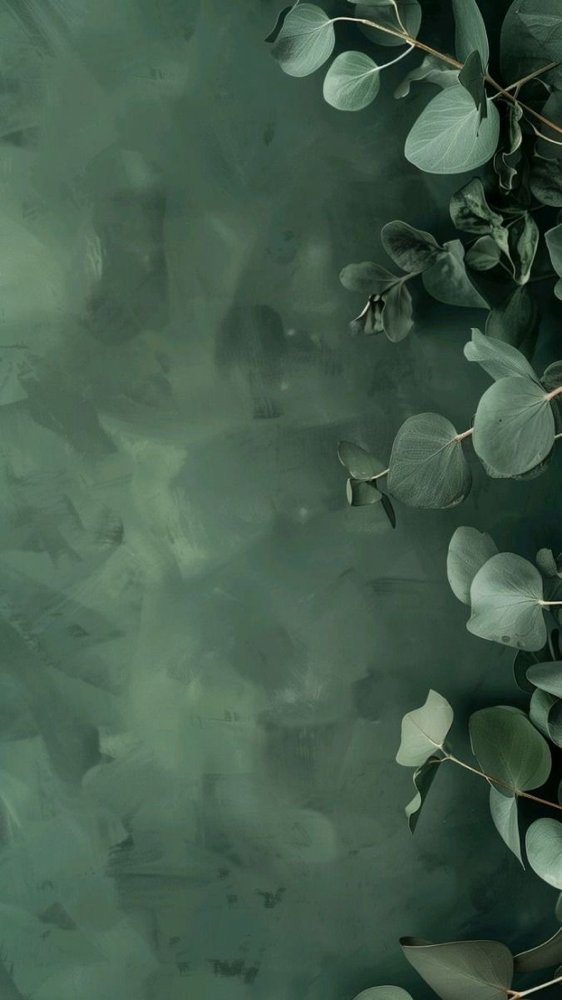 Velvet Eucalptus Facial at The Twisted Angel Salon & Spa in Bloomington, IN