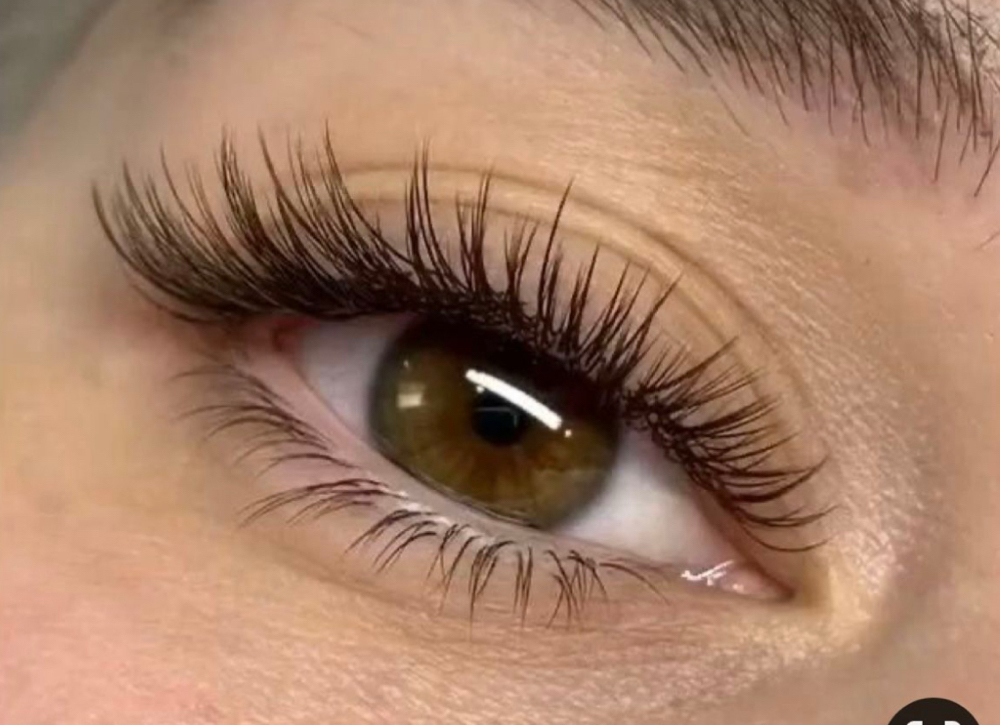 Full Set Brown Lashes