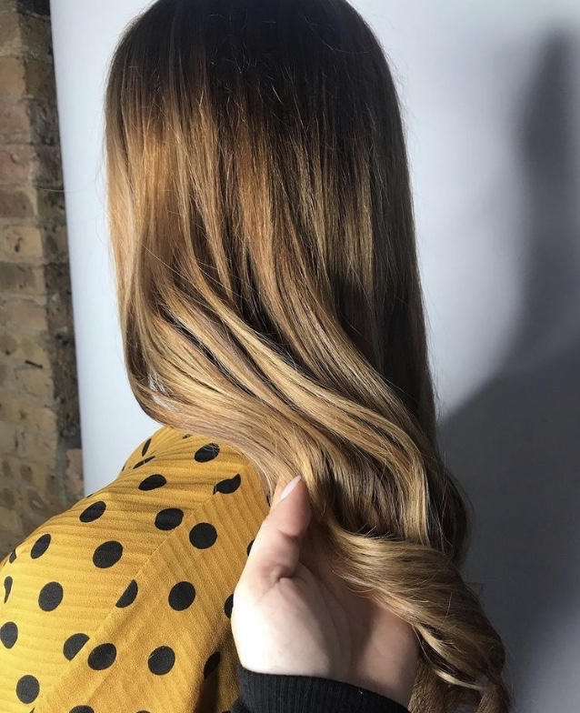 Single Process And Highlights