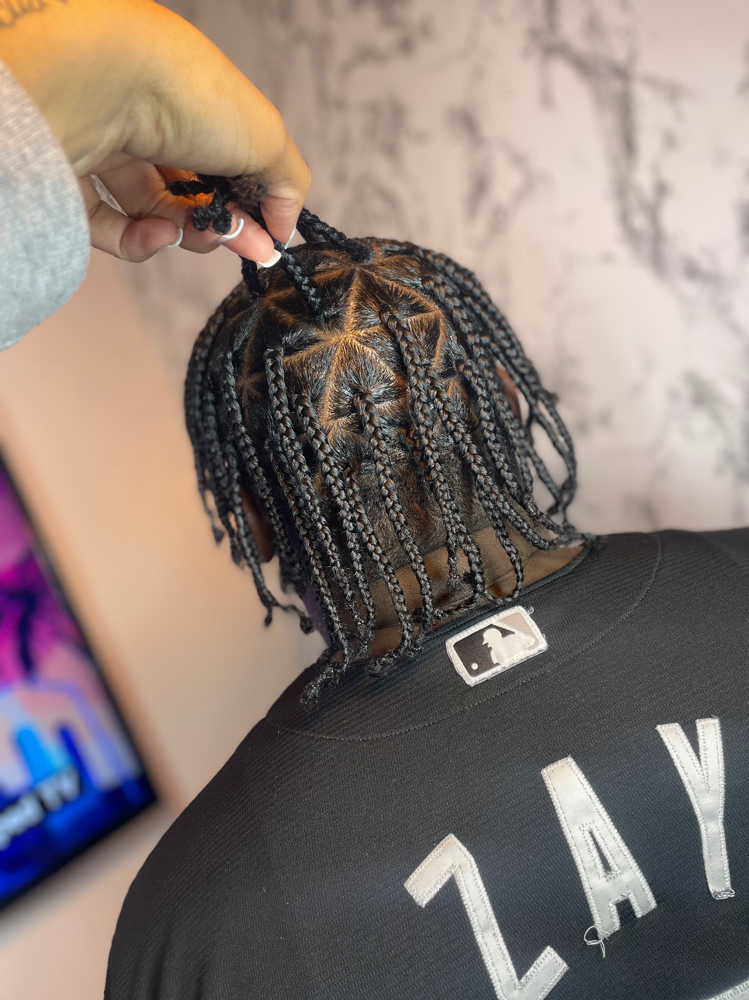 Plaits